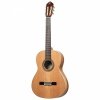 Ortega R20GSNRG Traditional Series gitara klasyczna 4/4 wąski gryf